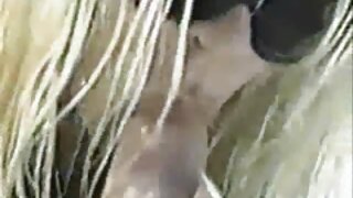 نوجوان کوچک لیزا رو به سکس پارتی پورن یک خروس بزرگ در گربه تنگش سلام می کند