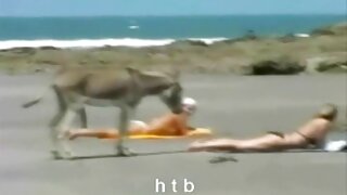 والنتینا ناپی داغ توسط سکس پارتی فیلم یک خروس سیاه بزرگ جراحی شد